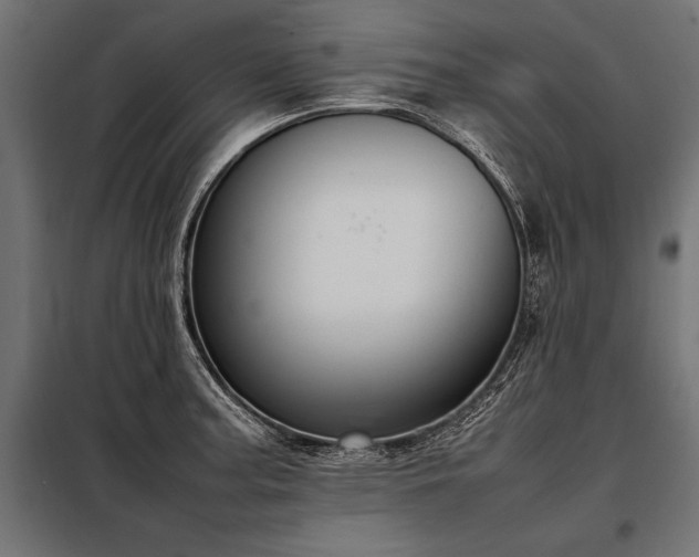 X0000098191187200804241237