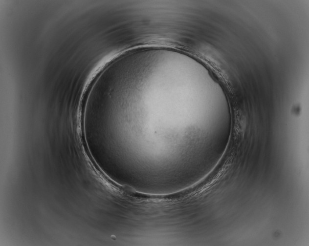 X0000098191188200804241237