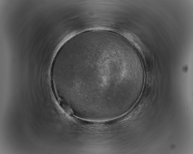 X0000098191189200804241237