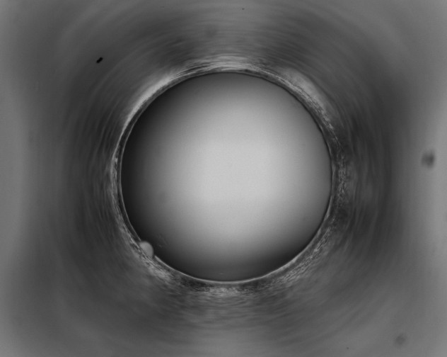 X0000098191190200804241237