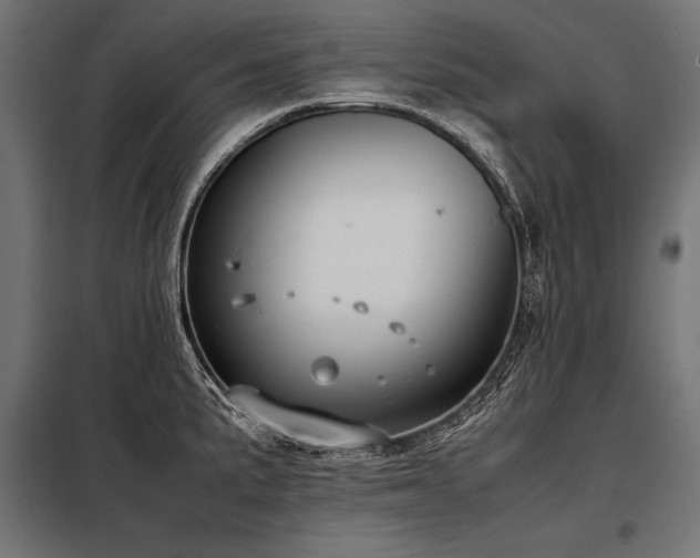 X0000098191191200804241237