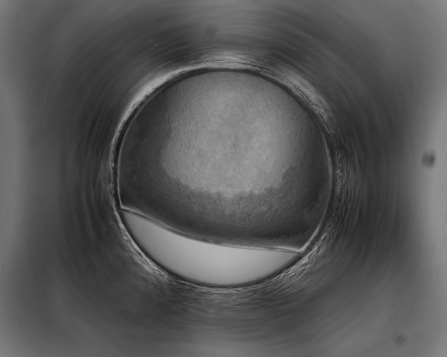 X0000098191192200804241237