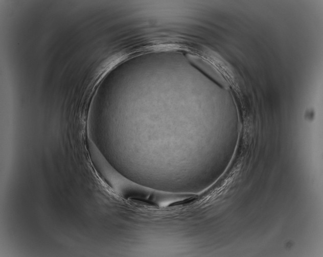 X0000098191193200804241237
