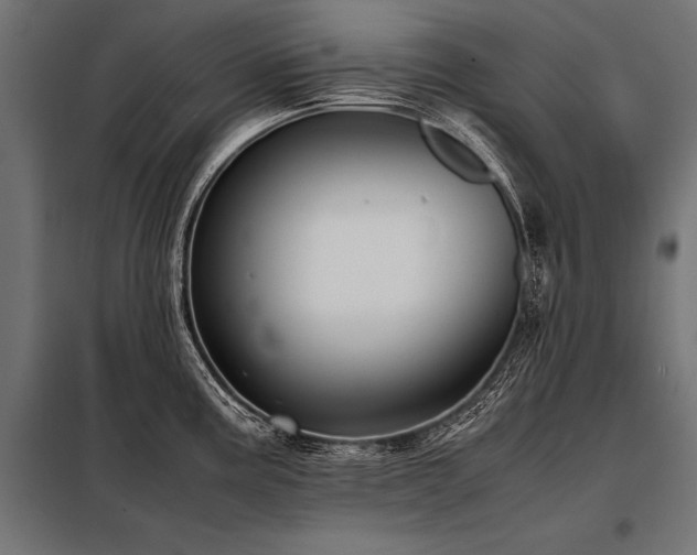 X0000098191195200804241237