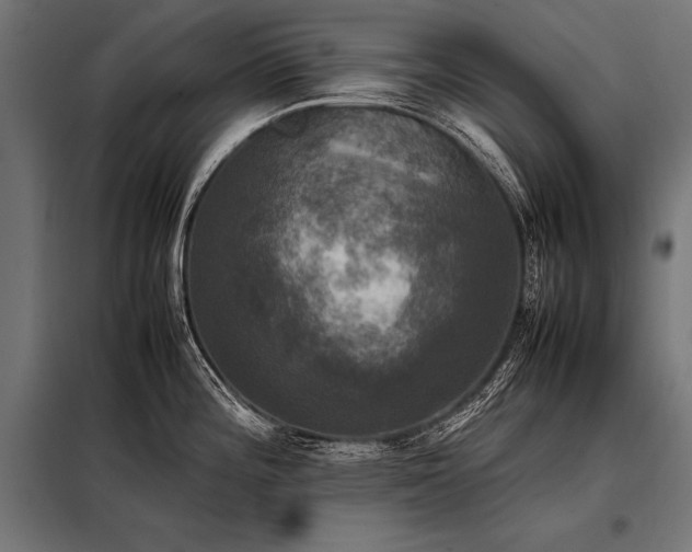 X0000098191196200804241237