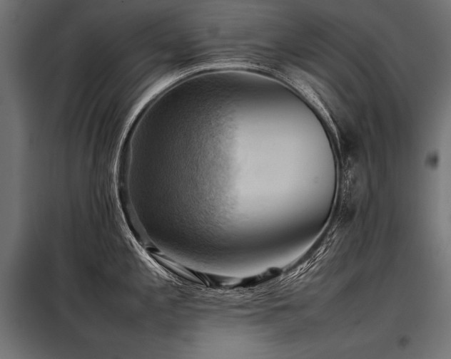 X0000098191197200804241237