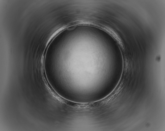 X0000098191198200804241237
