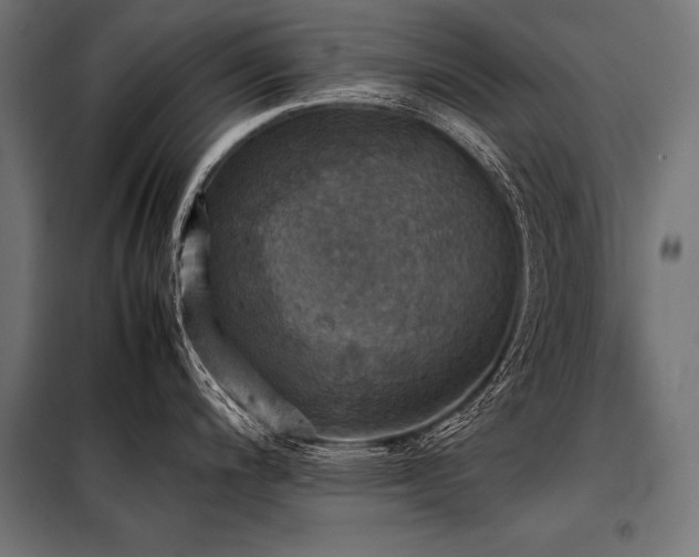 X0000098191200200804241237
