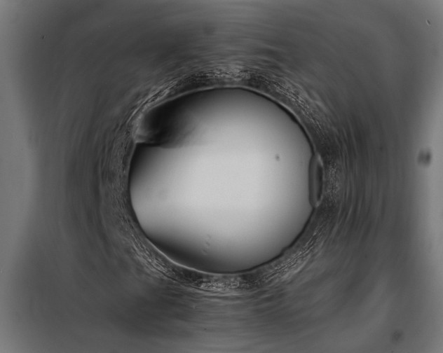 X0000098191201200804241236