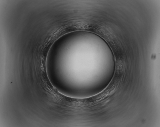 X0000098191202200804241236