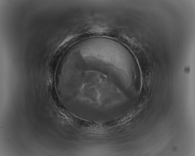 X0000098191206200804241236