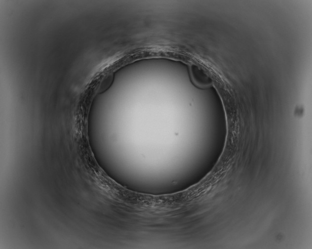 X0000098191207200804241236