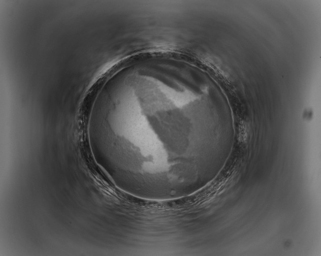 X0000098191208200804241236