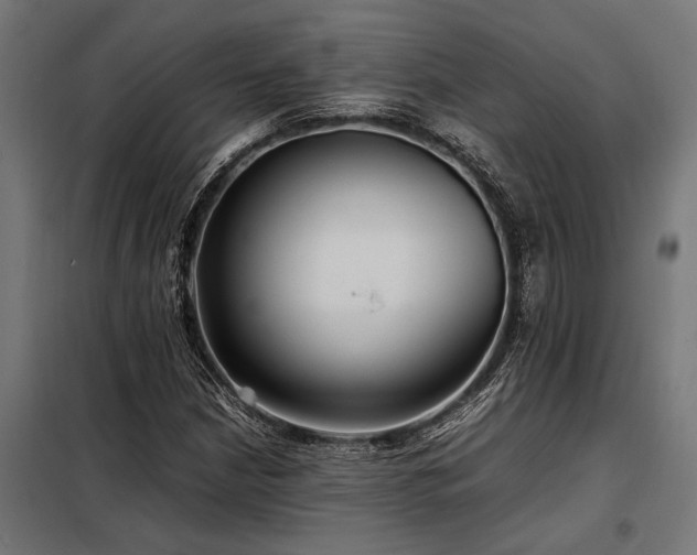 X0000098191210200804241236