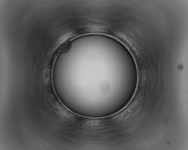 X0000098191211200804241236
