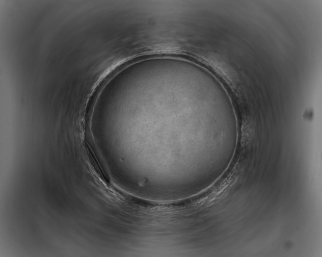 X0000098191212200804241236