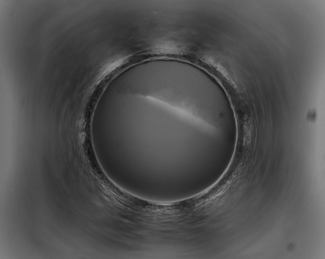 X0000098191213200804241236