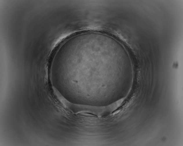 X0000098191214200804241236
