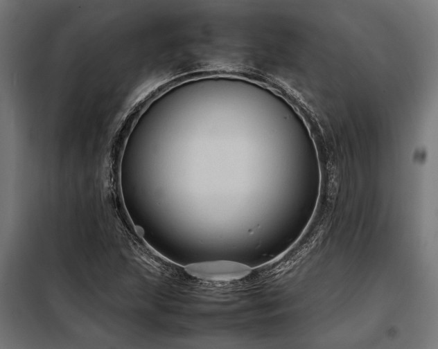 X0000098191215200804241236