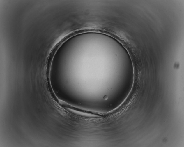 X0000098191216200804241236