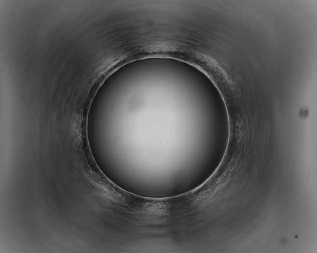 X0000098191217200804241236