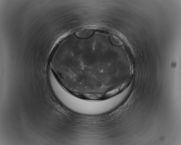 X0000098191218200804241236