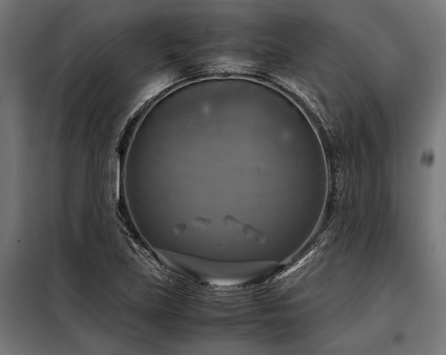 X0000098191219200804241236