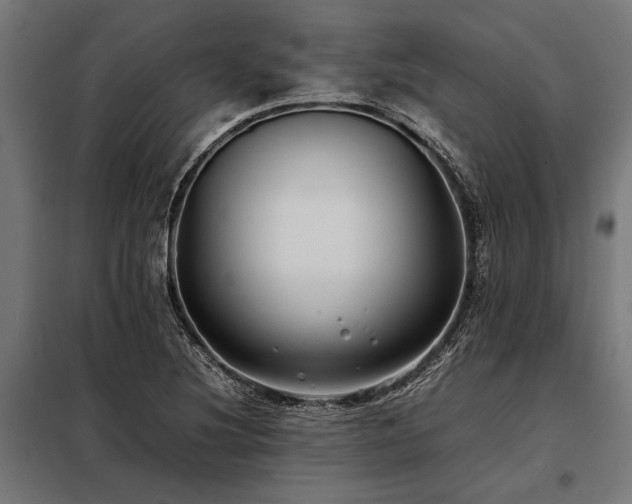 X0000098191220200804241236