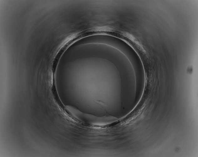 X0000098191221200804241237