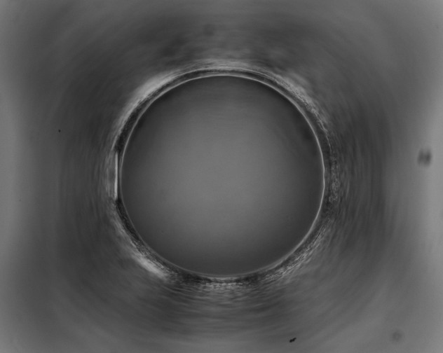 X0000098191223200804241237