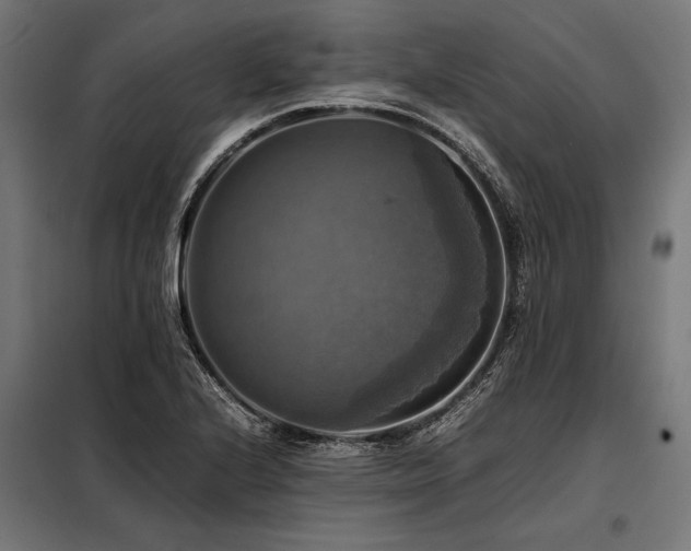 X0000098191224200804241237