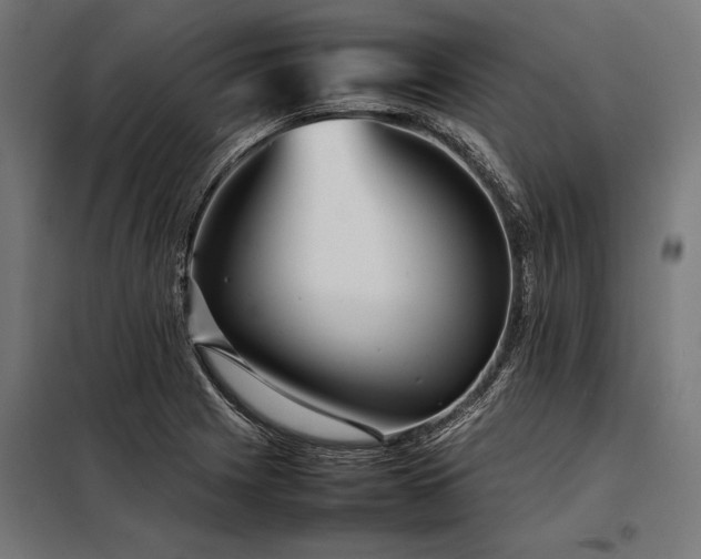 X0000098191225200804241237