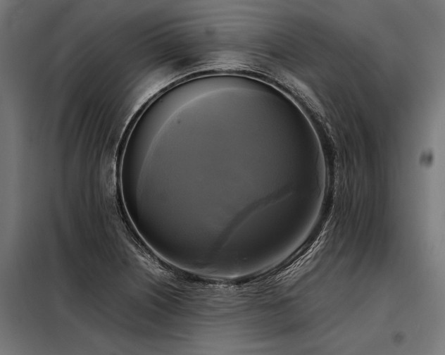 X0000098191226200804241237
