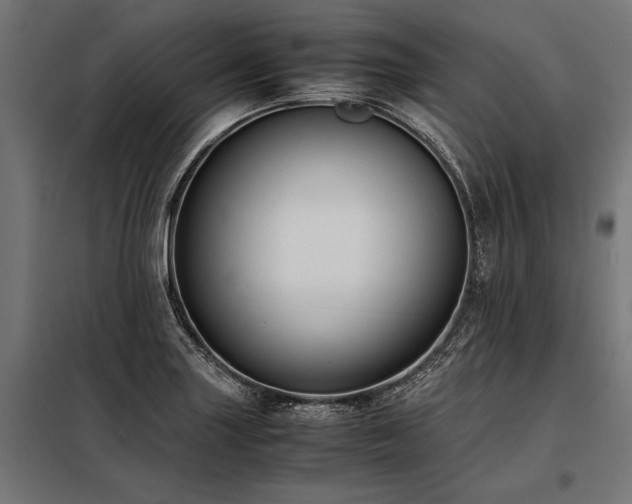 X0000098191227200804241237