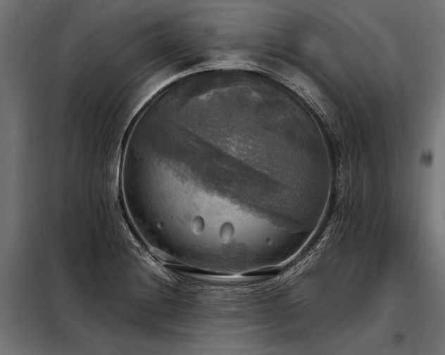 X0000098191228200804241237