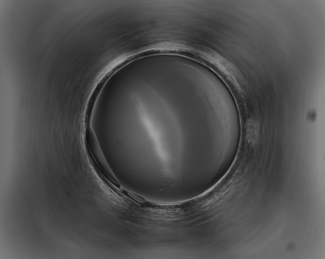 X0000098191229200804241237