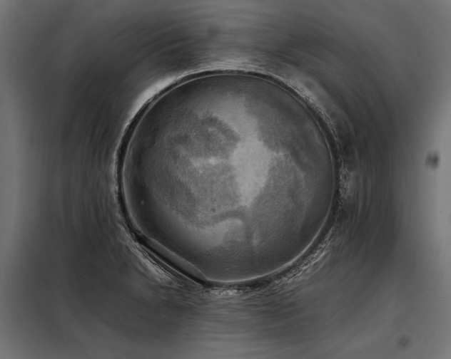 X0000098191230200804241237