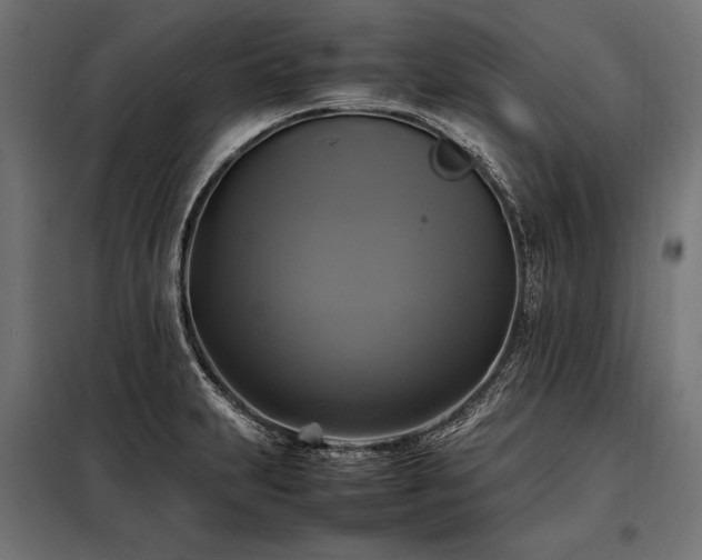 X0000098191231200804241237