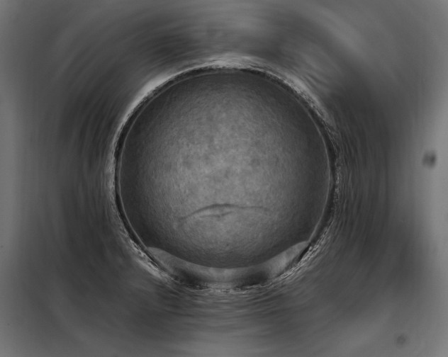 X0000098191232200804241237