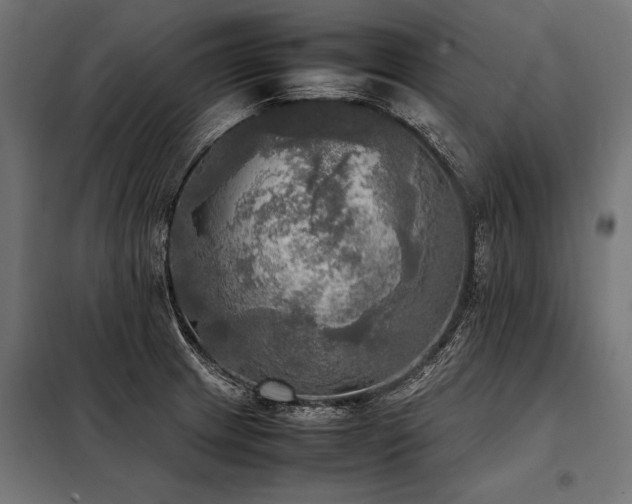 X0000098191233200804241237