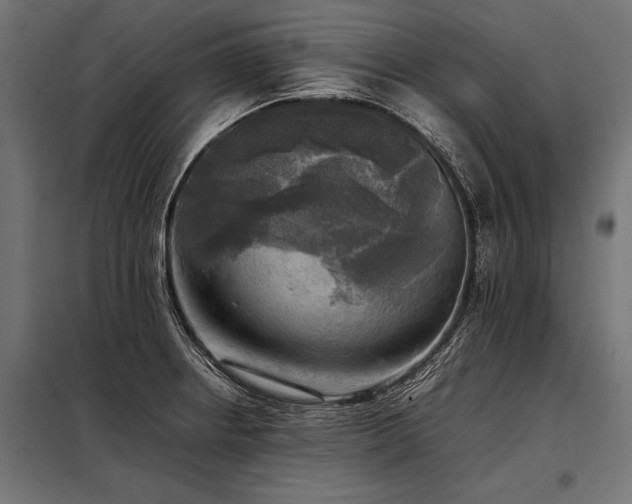 X0000098191234200804241237