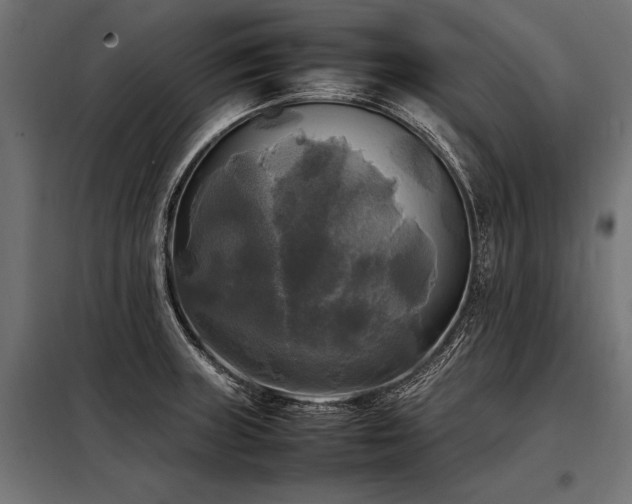 X0000098191235200804241237