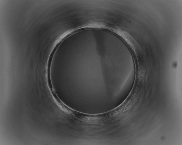X0000098191237200804241237