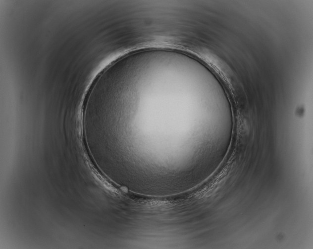 X0000098191238200804241237