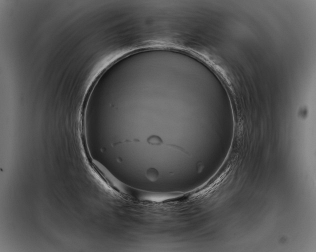 X0000098191239200804241237
