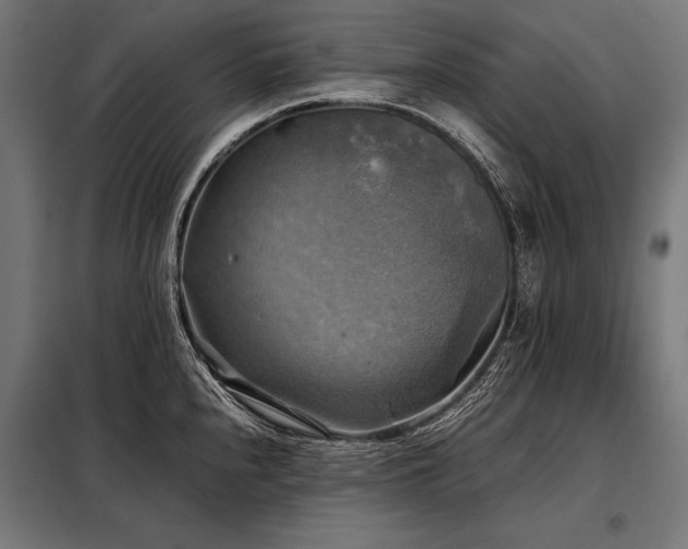 X0000098191240200804241237