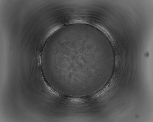 X0000098191241200804241237