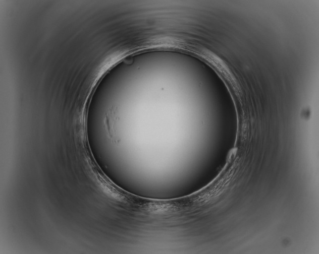 X0000098191242200804241237