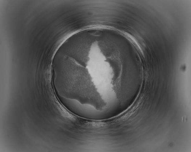 X0000098191244200804241237