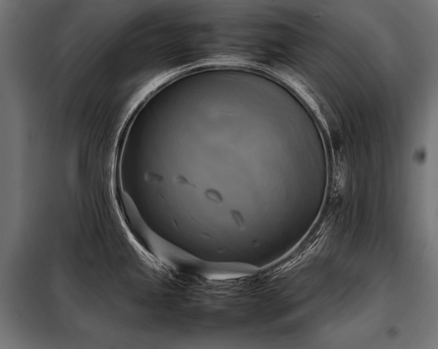 X0000098191245200804241237